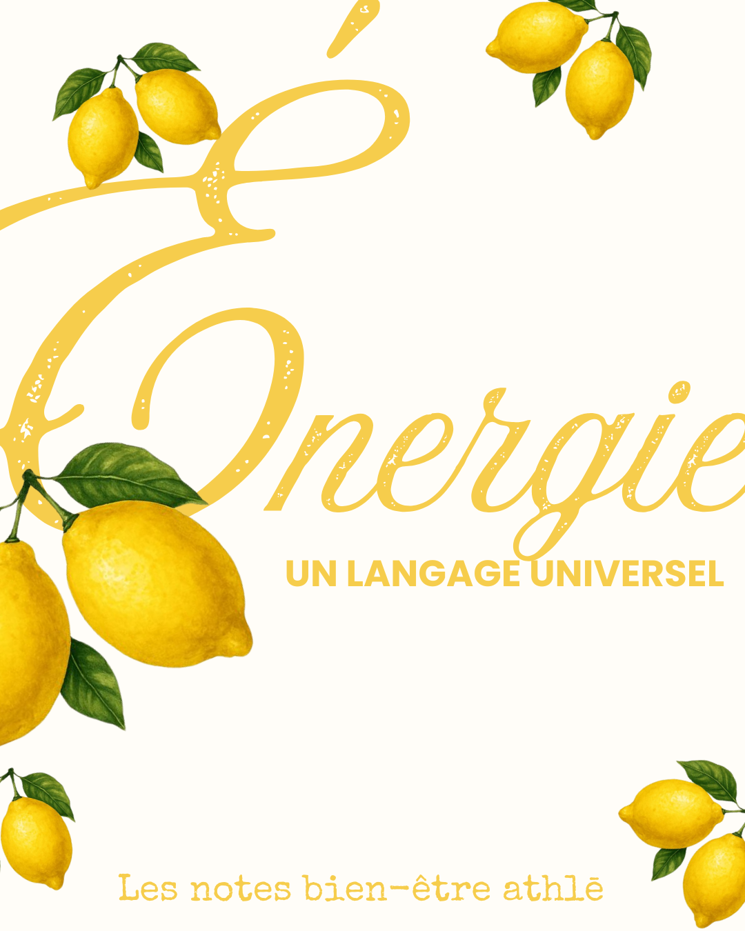 L'énergie, un langage universel
